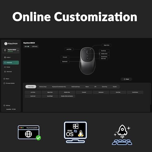 Keychron BM24 Portable Wireless Mouse, 2400 DPI Quiet Clicks, 2.4 GHz/Bluetooth 5.2/Wired with Programmable Buttons, Long Battery Life for Laptop PC/Mac/Windows - Space Gray - color: Space Gray