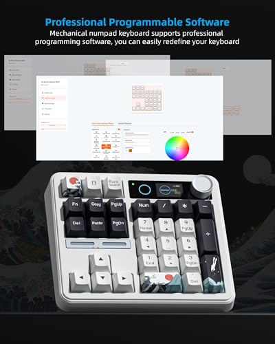 Womier SK30 Mechanical Numpad, Mini Keyboard with Screen & Knob, White | Bluetooth/2.4G/USB-C Wireless Numeric Keypad,Macro Software RGB Number Pad Hotswap,Rechargeable Number keypad for Mac Windows - color: White