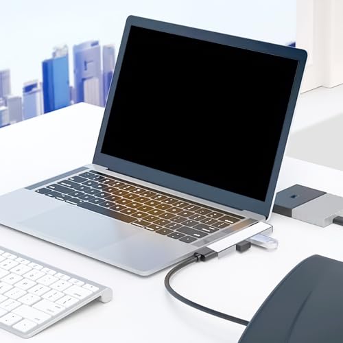 USB C Hubs with 4 Port Data Hubs for Laptop, 2 USB2.0 1 USB3.0, Portable Docking Station for Laptop