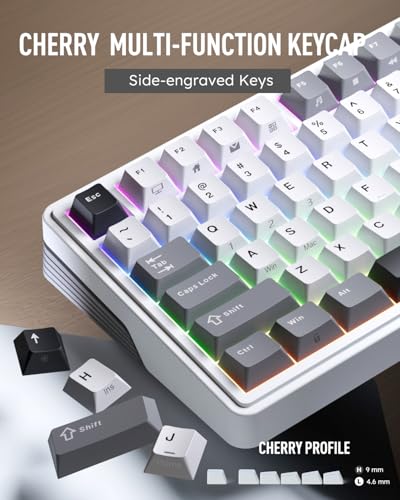RK ROYAL KLUDGE M100 Wireless Mechanical Keyboard w/Screen & Dual Knobs, Tri-Mode Gasket Mount Gaming Keyboard with Number Pad, Hot Swappable Cream Switch, White - color: White