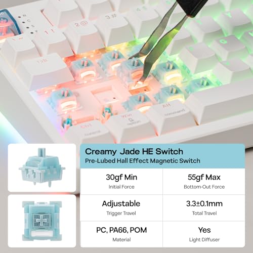 EPOMAKER HE108 Wireless Gaming Keyboard, 8K Polling & 10000mAh, SOCD & DKS | Full-Sized Hall Effect Keyboard with Rapid Triggering, Custom Driver, RGB Backlit, PBT Keycap (White) - color: White