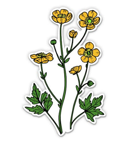 Buttercup Yellow Flower Wildflower - 12" Vinyl Sticker Waterproof Decal - size: 12"