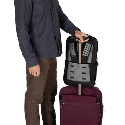 Osprey Ozone Slim Pack - Lightweight Laptop Backpack with AirScape Suspension, Water Bottle Pockets & Slim Travel Design - Fits Most 16" Laptops - Personal Item or Carry-On Compatible, Moody Burgundy - color: Moody Burgundy