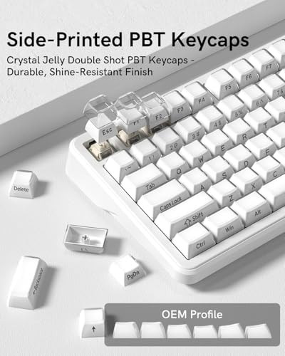L75 Wireless Mechanical Keyboard with Knob, 75% Hot Swappable Custom Gaming Keyboard Gasket Structure with RGB Backlit, Pre-lubed Switches, Crystal Jelly PBT Keycaps, 2.4GHz/USB-C/BT5.0 Mode - color: Crystal-White