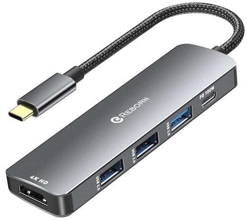 Reborn USB C Hub 5-in-1 for MacBook Pro/Air, 4K HDMI Multiport Adapter with 100W Power Delivery, 3*USB A Data Ports, USBC Dongle for Dell, HP, ASUS, Acer and Other Type C Laptops - size: 5.9inch