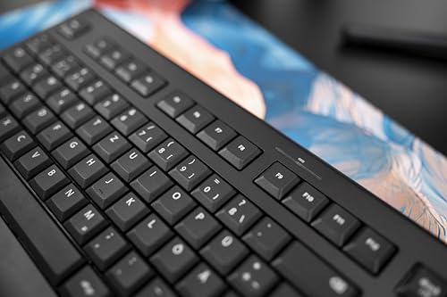 Cherry DW 3000 - Wireless Keyboard+Mouse Combo - 4 Additional Keys - US Layout - QWERTY Keyboard - GS Approval - Black