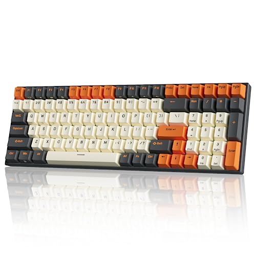 RK ROYAL KLUDGE RK100 Wireless Mechanical Keyboard RGB Backlit Bluetooth5.1/2.4G/Wired 96% Full Size 100-Key Hot Swappable Gaming Keyboard Brown Switch Carbon - color: Carbon, size: Hot Swappable Brown Switch