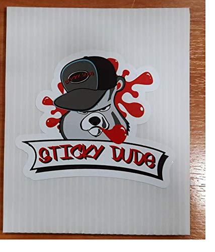 STICKY DUDE Colorful Compass Sticker, 5 inches - Vinyl Waterproof Sticker Decal Car Laptop Wall Window Car Bumper RV Sticker - size: 5in