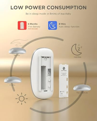 RAPIQUE Bluetooth Wireless Mouse, BT5.1/2.4G Dual Mode, Silver | Slim Profile, Two Ways to Connect, Quiet Click, Low Power, 1600 DPI, Portable for MacBook, Laptop, iPad and Chromebook - color: Silver