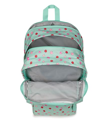 JanSport Laptop Backpack - Computer Bag with 2 Compartments, Ergonomic Shoulder Straps, 15” Laptop Sleeve, Haul Handle - Apple Orchard - color: Apple Orchard Magic