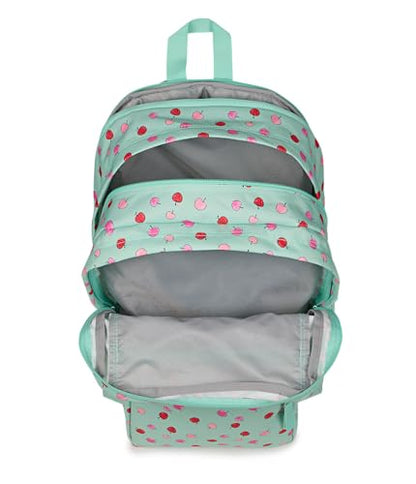 JanSport Laptop Backpack - Computer Bag with 2 Compartments, Ergonomic Shoulder Straps, 15” Laptop Sleeve, Haul Handle - Apple Orchard - color: Apple Orchard Magic