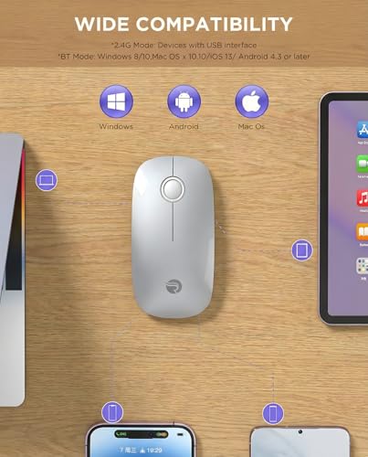 RAPIQUE Bluetooth Wireless Mouse, BT5.1/2.4G Dual Mode, Silver | Slim Profile, Two Ways to Connect, Quiet Click, Low Power, 1600 DPI, Portable for MacBook, Laptop, iPad and Chromebook - color: Silver