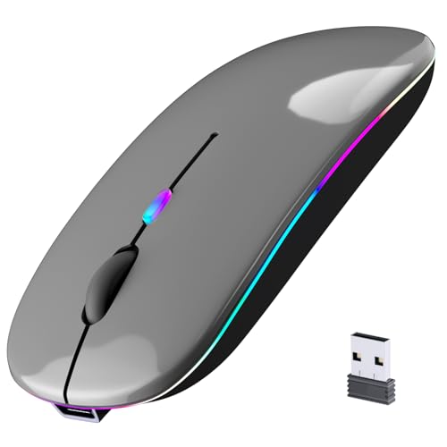 Wireless Bluetooth Mouse, Rechargeable, LED, Silent, Ultra-thin Design (Bluetooth 5.2 and 2.4GHz USB Receiver) | Portable Computer Mouse for Laptops, iPads, MacBooks and Apple Devices (Grey) - color: Grey