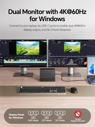 USB C Docking Station Dual Monitor 4K@60Hz, 11-in-1 Vertical Laptop Stand Dock, 100W PD, 10Gbps Data, Gigabit Ethernet, Compatible with Dell Lenovo HP Windows Laptops, Black - color: Black