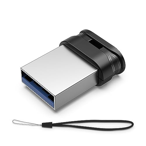 RAOYI USB Stick 256GB USB 3.0 Flash Drive with Lanyard, 256G Mini Fit Memory Stick Ultra Slim Thumb Drive Zip Drive for PC Desktop-Black - color: black 1 pack, size: 256GB-3.0