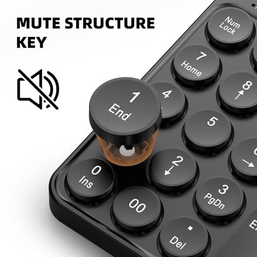 Corded Number Pad Numeric Keypad 19 Keys USB Numpad Portable Financial Accounting Keyboard for Laptop/Computer/Notebook Numeric Keypad