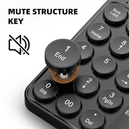 Corded Number Pad Numeric Keypad 19 Keys USB Numpad Portable Financial Accounting Keyboard for Laptop/Computer/Notebook Numeric Keypad