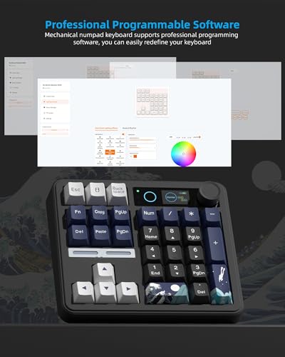 Womier SK30 Mechanical Numpad, Mini Keyboard with Screen & Knob,Black | Bluetooth/2.4G/USB-C Wireless Numeric Keypad,Macro Software RGB Number Pad Hotswap,Rechargeable Number keypad for Mac Windows - color: Black