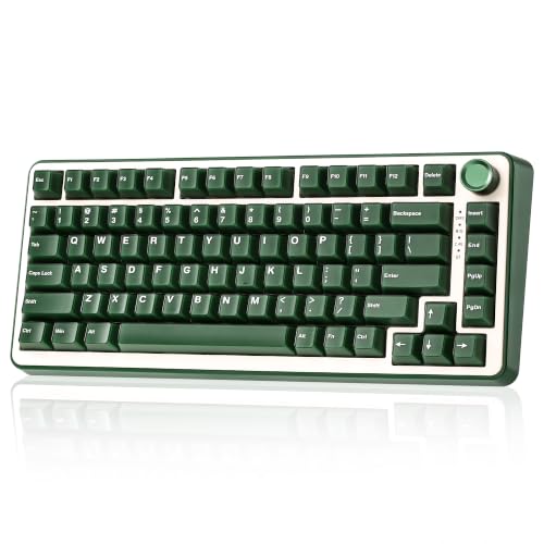 YUNZII B75 PRO Wireless Mechanical Gaming Keyboard | Custom 75% Layout with Knob,Gasket Mount,Hot Swap,Creamy Pre-lubed Switch,BT/USB-C/2.4G(Olive Green, Milk Switch) - color: Olive Green, size: Milk Switch
