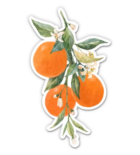 Orange Branch Citrus - 8" Vinyl Sticker - for Car Laptop I-Pad - Waterproof Decal - size: 8"