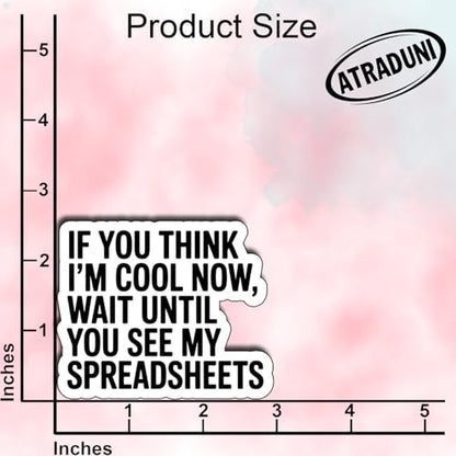 (3Pcs) Funny Spreadsheet Stickers If You Think I'm Cool Now Wait Until You See My Spreadsheets Waterproof Vinyl Decals for Laptop Water Bottle Tumbler Kindle Accountant Gifts - color: If You Think I’m Cool Now