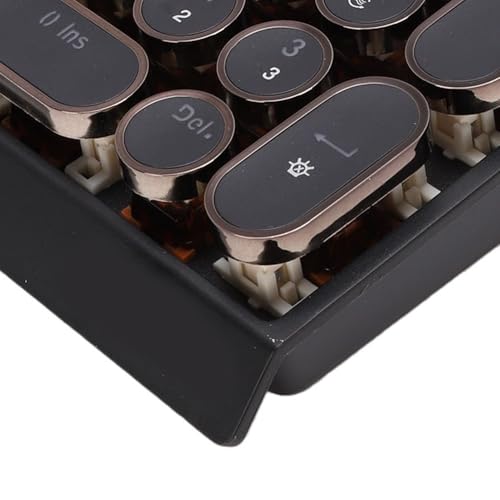 Asixxsix Wireless Gasket RGB Number Pad, 19 Keys Mechanical Numpad, Knob Control, 2.4GHz Bluetooth Portable Financial Accounting Rechargeable Numeric Pad for Laptop, PC