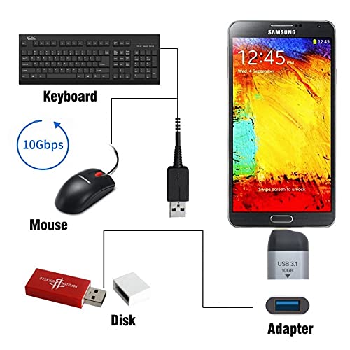 USB-C Type C Female Source to Mini Displayport DP Sink HDTV Adapter 4K 60hz 1080p for Tablet & Phone & Laptop - style: OTG Straight
