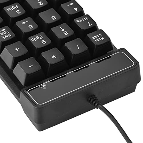 Wired Number Pad, 19 Keys Numeric Keypad with 4.9Ft USB Cable, Plug and Play Portable Financial Accounting Keyboard for Laptop Desktop PC