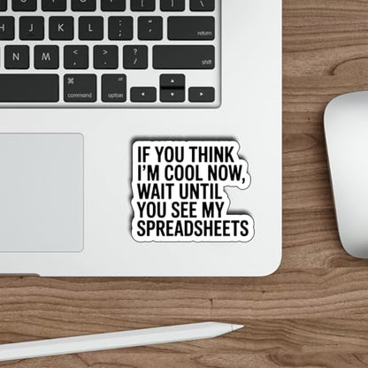 (3Pcs) Funny Spreadsheet Stickers If You Think I'm Cool Now Wait Until You See My Spreadsheets Waterproof Vinyl Decals for Laptop Water Bottle Tumbler Kindle Accountant Gifts - color: If You Think I’m Cool Now