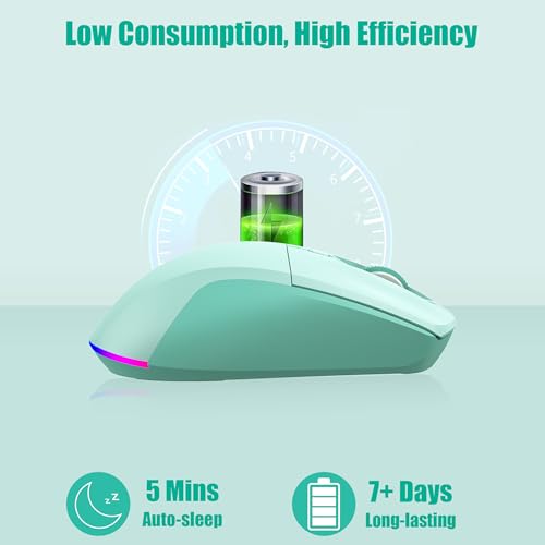 LeadsaiL Bluetooth Wireless Mouse, Rechargeable Dual Mode Computer Mouse with Side Buttons, Ergonomic Design, Silent Click, Adjustable DPI 800-4000, Compatible with MacBook, Windows Computers/Laptop