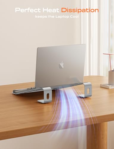 LOXP Laptop Stand for Desk, Aluminum Laptop Riser Holder with Wrist Support | Removable Notebook Stand Ventilated Cooling Computer Riser Ergonomic Lectern Mount Compatible with 10-17” Laptops - color: Silver