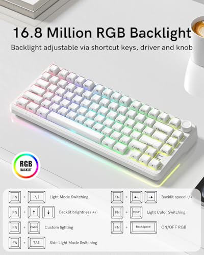 L75 Wireless Mechanical Keyboard with Knob, 75% Hot Swappable Custom Gaming Keyboard Gasket Structure with RGB Backlit, Pre-lubed Switches, Crystal Jelly PBT Keycaps, 2.4GHz/USB-C/BT5.0 Mode - color: Crystal-White