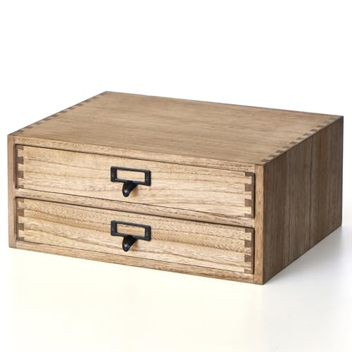 KIRIGEN Solid Wood Desk Organizer with 2 Drawers, Desktop Storage, Brown | 2-Drawer Cabinet for Printer Paper, Mail, Notebooks, and Office Supplies, 13.78 x 10.6 x 5.9 In, Fully Assembled - color: Dark brown, size: 2-layer&2 drawers