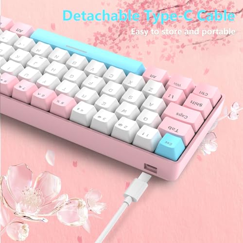 RK-T60 Wired 60% TKL Mechanical Gaming Keyboard Led Rainbow Backlight Ultra-Compact NKRO Linear Red Switch ABS Keycap RGB Honeycomb Mice Coiled Aviator Cable for Windows Laptop PS4/PC/WIN Gamer - color: Pink/Blue Switch
