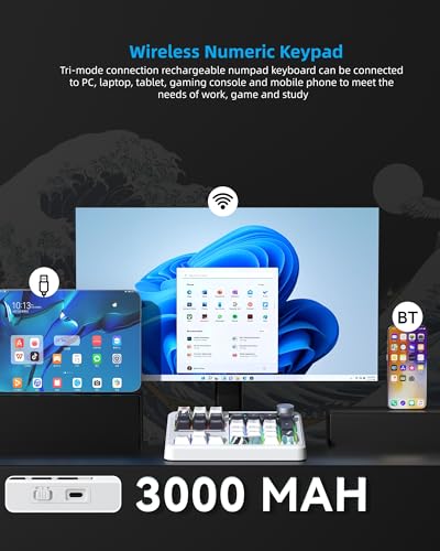 Womier SK30 Mechanical Numpad, Mini Keyboard with Screen & Knob, White | Bluetooth/2.4G/USB-C Wireless Numeric Keypad,Macro Software RGB Number Pad Hotswap,Rechargeable Number keypad for Mac Windows - color: White