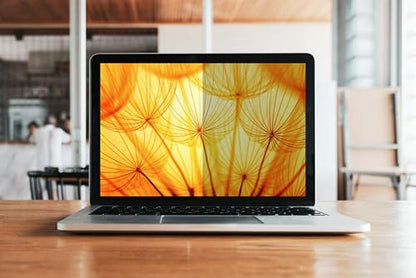 3M Bright Screen Privacy Filter for 13.3" Full Screen Laptop | 16:9 aspect ratio