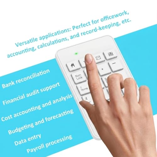 Wireless Number Pad with Battery, Enhanced Efficiency with 23 Keys Numeric Keypad Upgraded Version of 10 key USB Keyboard Financial Accounting Numpad for Laptop, PC, Notebook, Desktop,Surface Pro - style: 2.4GWirelessWhite