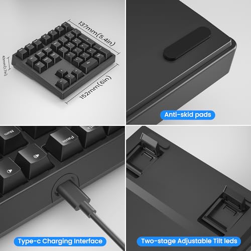 Gurjot Number Pad, Mechanical USB Wired Numeric Keypad with RGB LED Backlit,34 Keys Numpad Keyboard with PBT Keycaps Blue Switches for Windows/Mac Laptop,Computer,Desktop,PC,Notebook (Black) - color: black