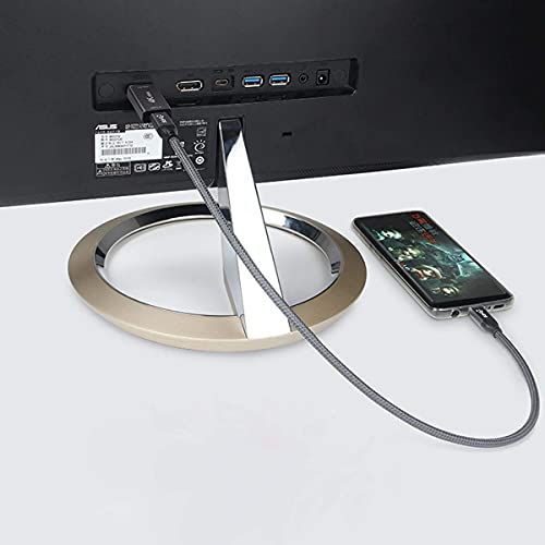 chenyang USB C to HDMI Converter USB C Source to HDMI Sink HDTV Adapter (The HDMI Must be Connected to The Monitor, not The Host.You Need to use The 10Gbps USB C to C Cable,Other Cable not Work) - color: Silver HDMI Adapter
