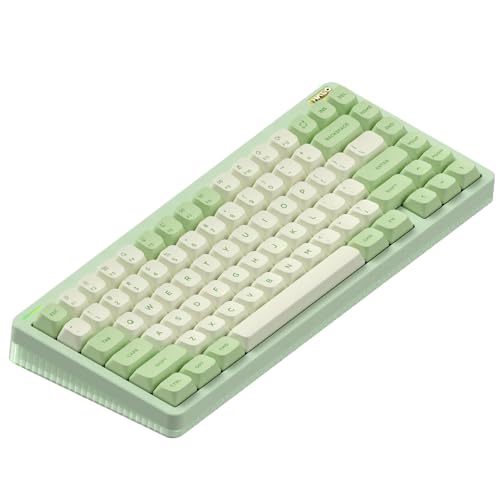 nuphy Halo75 V2 Mechancial Gaming Kyeboard,75% Wireless Hot Swappable Bluetooth Keyboard,83 Kyes RGB Backlit Keyboard,Support Bluetooth/2.4GHz/USB-C (Green, Mint (37gf)) - color: Green, size: Mint (37gf)