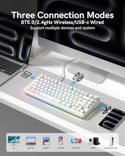L75 Wireless Mechanical Keyboard with Knob, 75% Hot Swappable Custom Gaming Keyboard Gasket Structure with RGB Backlit, Pre-lubed Switches, Crystal Jelly PBT Keycaps, 2.4GHz/USB-C/BT5.0 Mode - color: Crystal-White