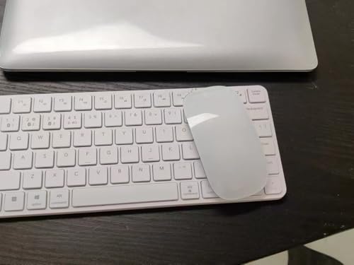 Wireless Multi-Touch Surface Magic Mouse Alternative USB C Rechargeable Bluetooth Mouse Compatible with MacOS/Windows/Linux/Android Laptop Desktop PC Smartphone Tablet (White) - color: White