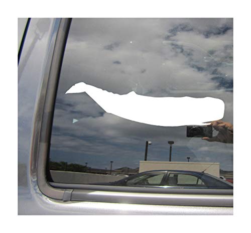 Sperm Whale Cachalot Moby Dick - Cars Trucks Moped Helmet Hard Hat Auto Automotive Craft Laptop Vinyl Decal Store Window Wall Sticker 01306
