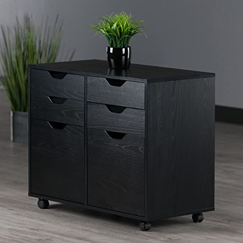 Winsome Halifax Mobile Storage Cabinet with 2 Doors & 4 Drawers, Black | Stylish & Functional Home Storage Cabinet for Filing, Kitchen Organization, Moveable Furniture for Office, Dorms, Apartments - color: Black, style: 2 Doors, 4 Drawers