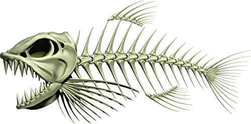 Skeleton Beautiful Fish Decal | Fishing Decal for Boat, Car, Vehicle, Truck Etc. | Waterproof Vinyl Sticker | Many Sizes & Styles Available | 12" to 40" by Digital Fish Art (Large, Position 3) - color: Position 3, size: Large