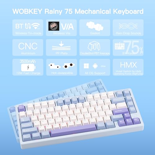 KEEBMONKEY WOBKEY Rainy 75 CNC Aluminum HMX/JWK/Cocoa Switches Triple-Mode Connectivity Mechanical Keyboard with Superior Acoustics, RGB/PP/Gradient Glass/3500mAh/Violet Switch (Standard - Blue) - style: Standard - Blue