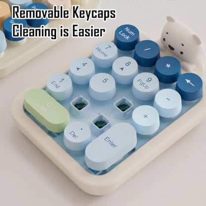 Lomiluskr Wireless Number Keypad with Cute Silicone Bear, 18 Colorful Round Keys Numpad, 2.4G USB Wireless Connection, Portable Financial Accounting Numeric Keyboard, Suitable for PC, Laptop (Blue) - color: Blue