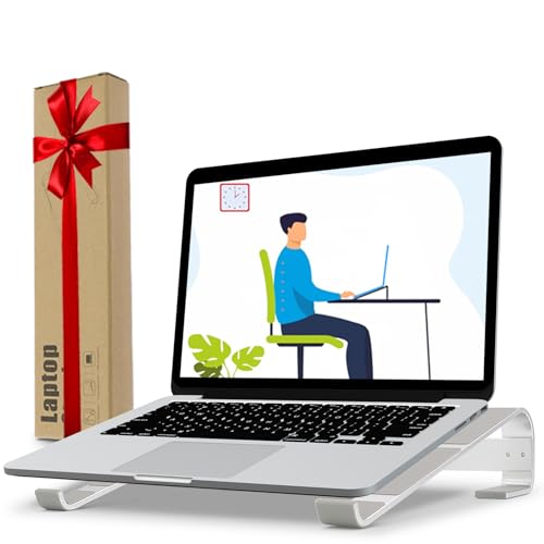 Laptop Stand for Desk, Ventilated Aluminum Laptop Riser, Silver | Stable Typing Support, Fixed 17° Angle, 2.5 in Lift, Silicone Pads, Open Airflow, Fits Most 11–16 in Laptops, Tool Included - color: Silver