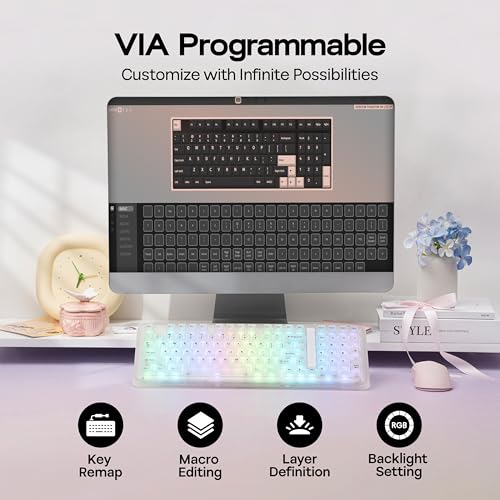 KiiBoom Phantom98 Lite 96% Wireless Mechanical Gaming Keyboard, VIA Programmable, Creamy Keyboard with Gasket, 8000mAh Battery, Hot Swap, RGB Backlits, NKRO for Win/Mac (Clear, Mochi Switch) - color: Clear, size: Mochi Switch