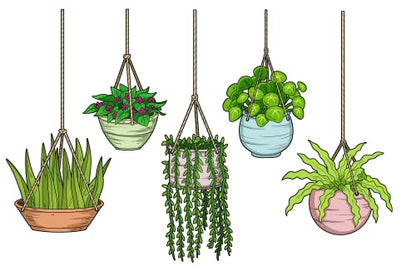 Plant Stickers (5pcs) - Strong Adhesive Waterproof Succulent Stickers - Do not Fade, Used for Notebook, Laptop, MacBook, Scrapbook, Ipad, Water Bottle